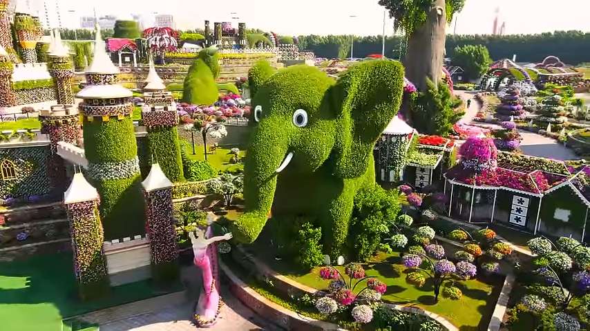 Why Nexa Business Formation Dubai